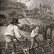 The plowman guides his plough with care and skill. Craig del. Hemsley sculp. (1805)